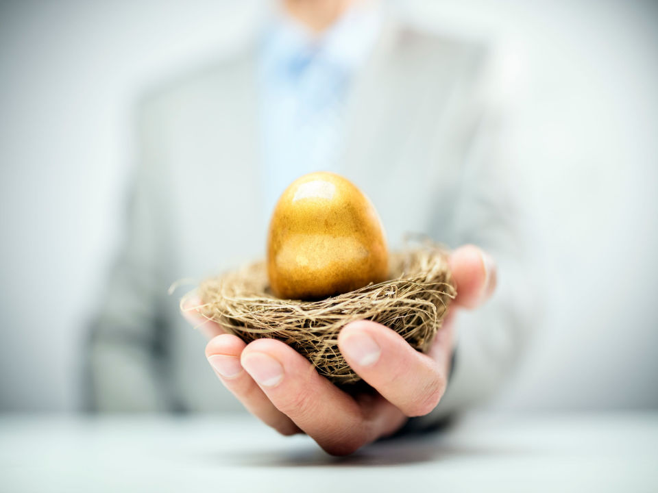 hand holding a golden egg in a nest illustrating gold ira