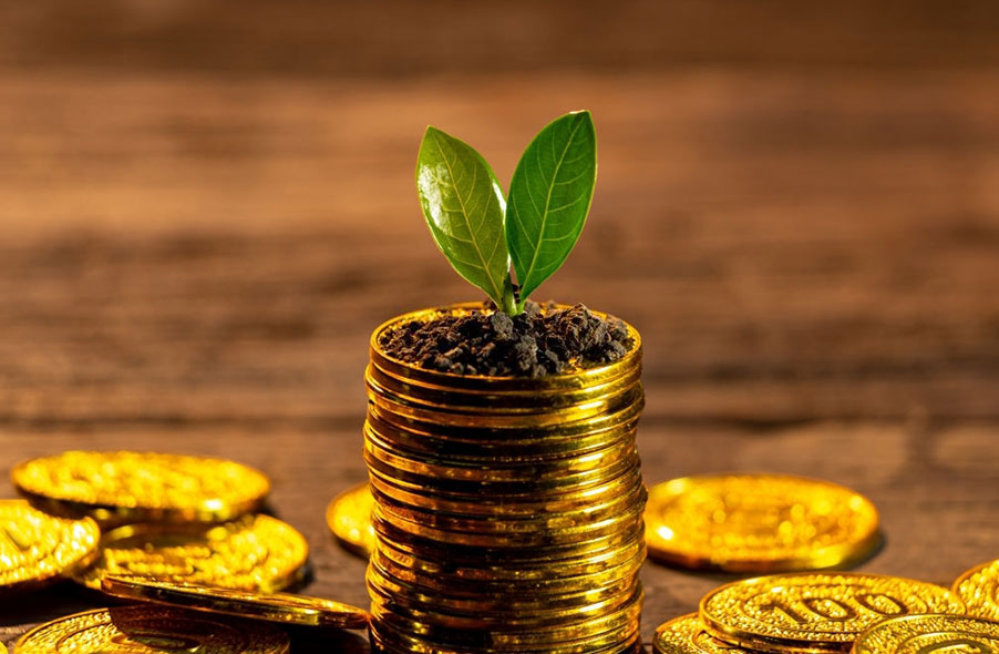 a plant above gold coin symbolizing gold investment
