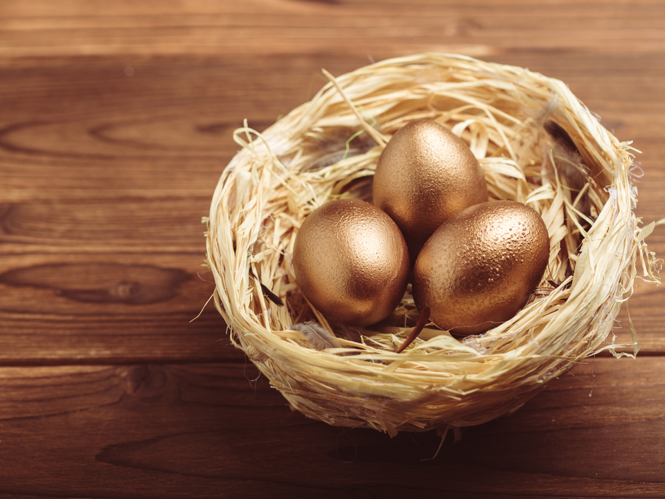 золотые яйца в гнезде