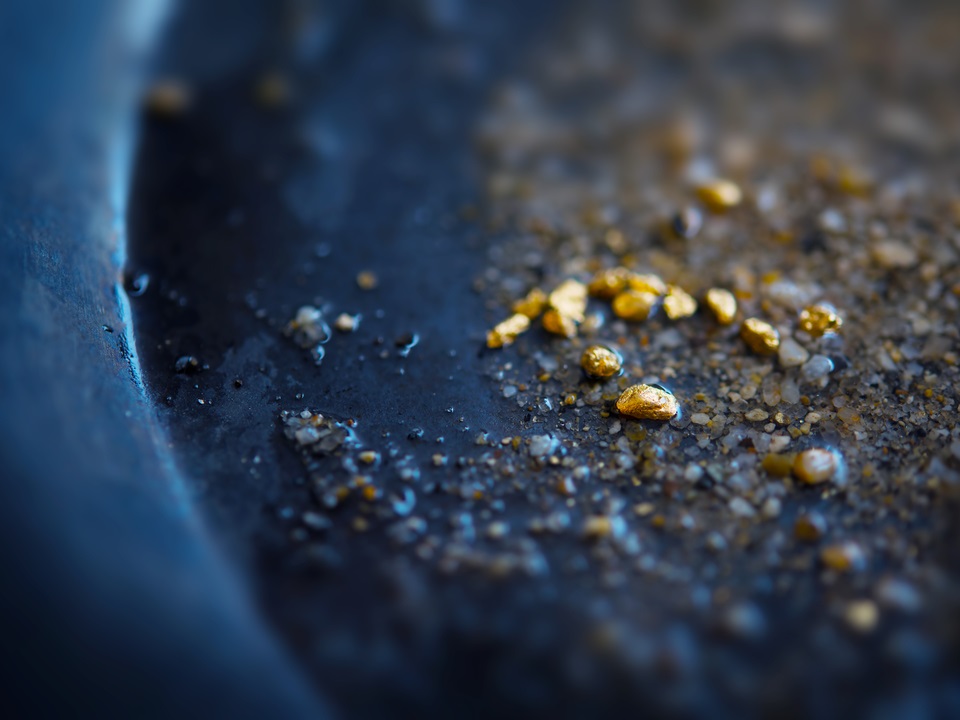 little gold nuggets in a wash pan