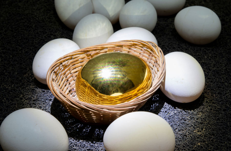 golden egg among other normal white eggs