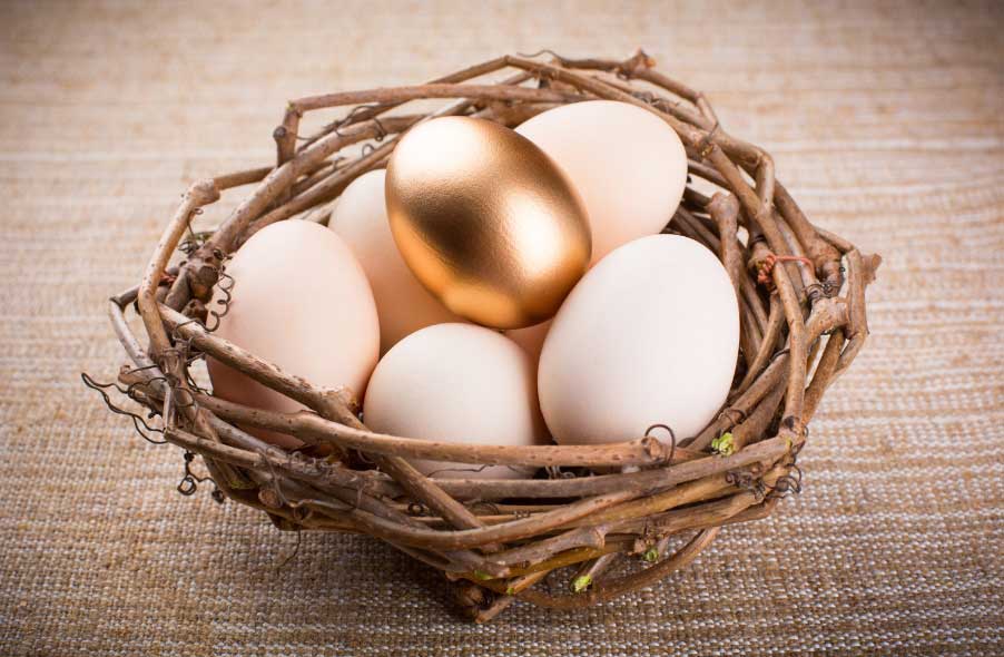 nest with gold egg with white eggs