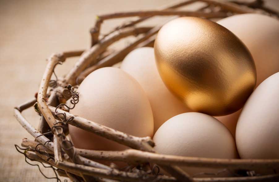 white eggs and one gold egg in nest
